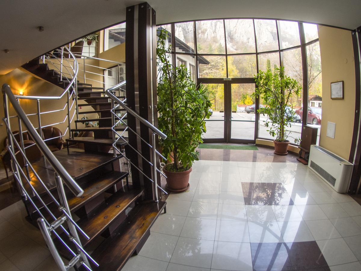 Complex Chayka Hotel